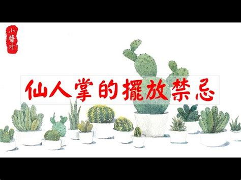 仙人掌放後陽台|仙人掌後陽台擺放禁忌